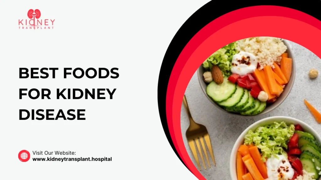 Best Foods for Kidney Disease