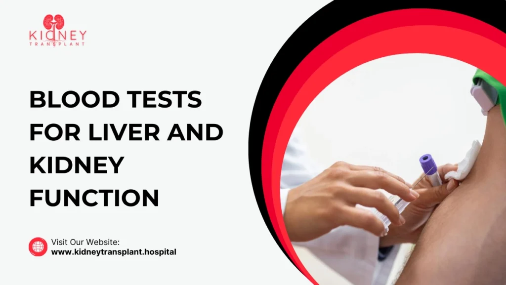 Blood Tests for Liver and Kidney Function