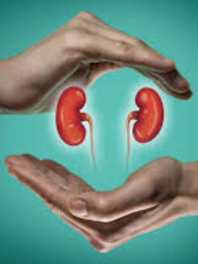 KIDNEY