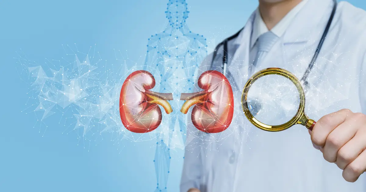 Kidney Disease Diagnosis