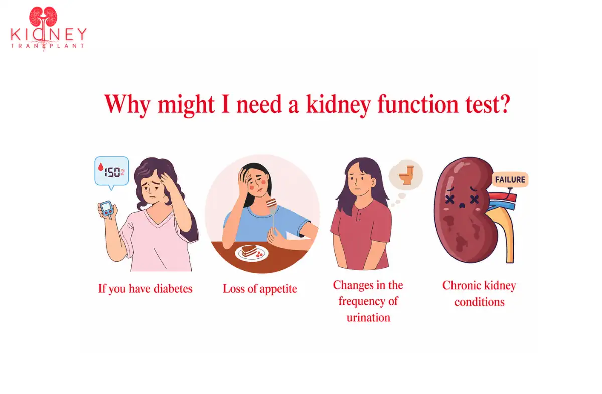 Kidney Disease Diagnosis