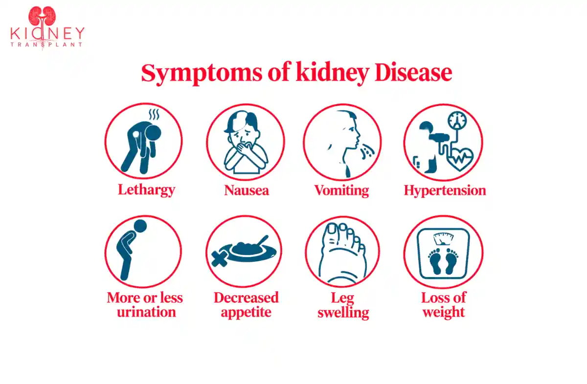 Kidney Disease Symptoms