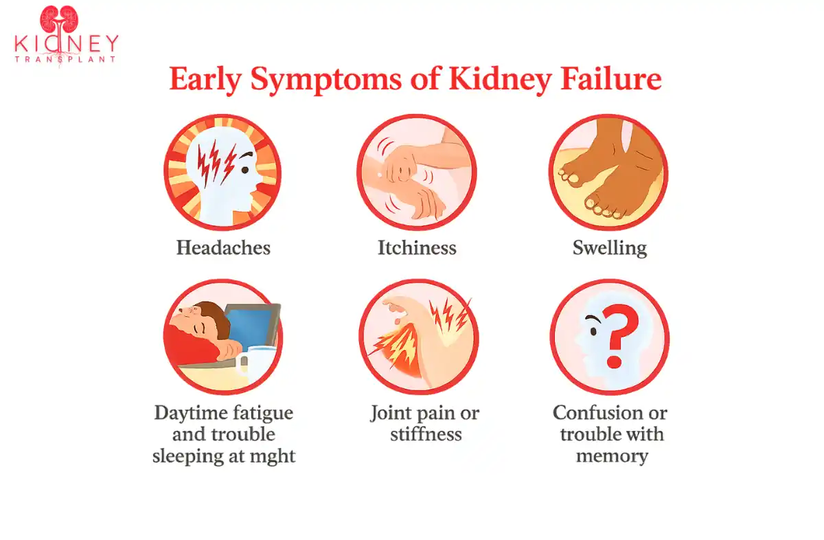 Kidney Failure