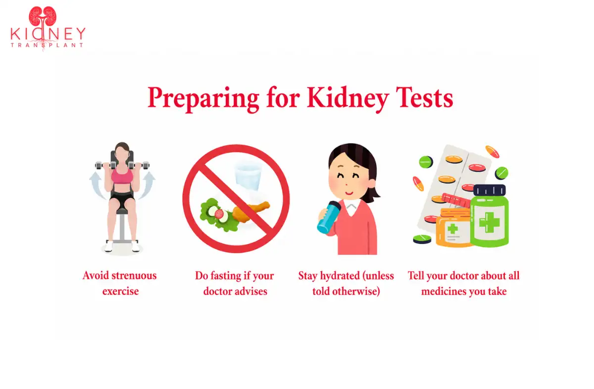 Kidney Tests and Procedures