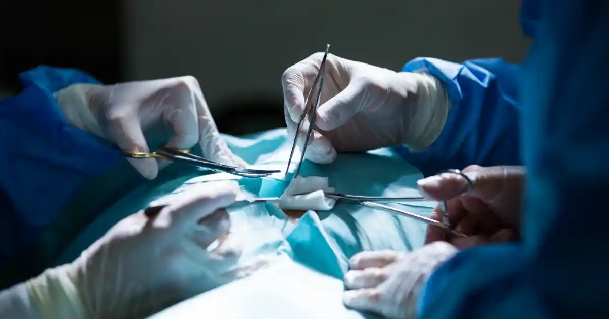 Kidney Transplant Surgery