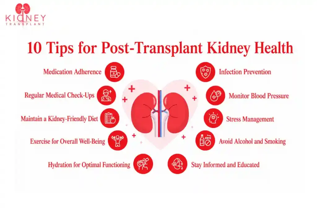Life After Kidney Transplant