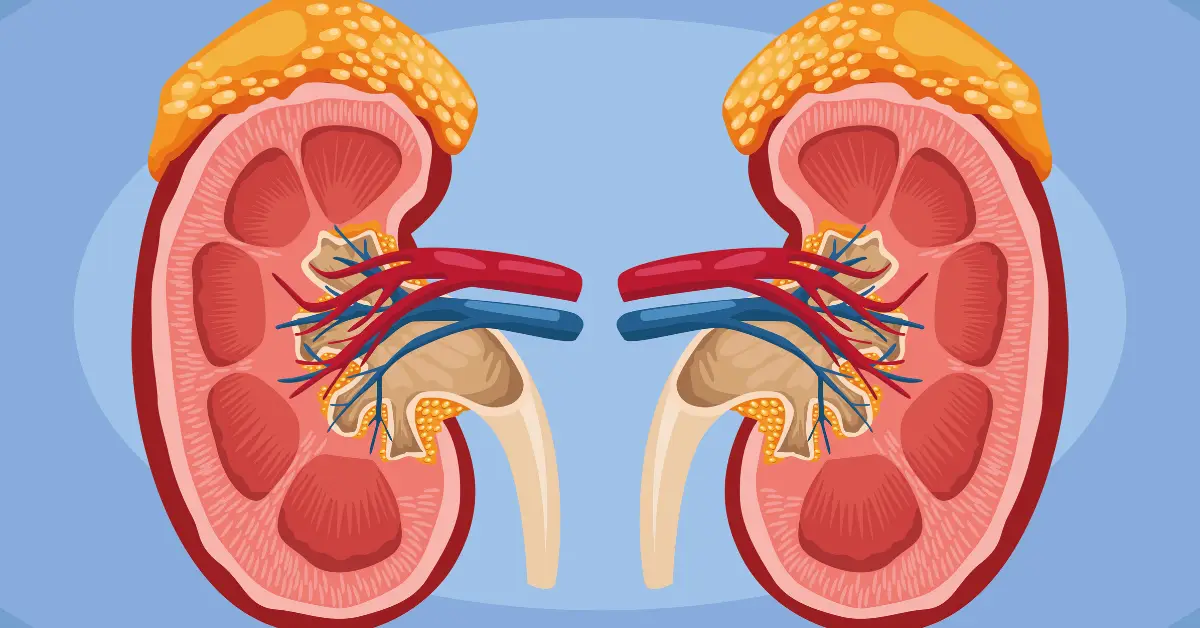 Peritoneal Dialysis