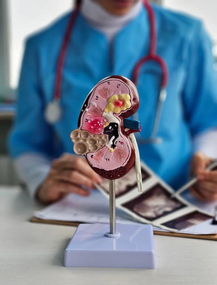 Start Your Kidney Transplant Journey