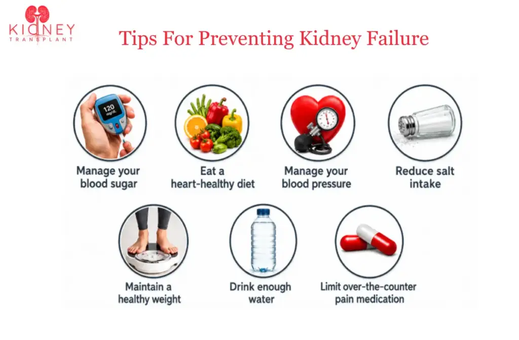How to Prevent Kidney Failure